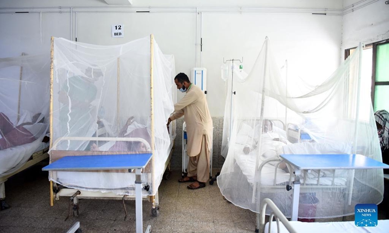 The Rawalpindi’s dengue total tally had reached 1,004 positive cases with the arrival of 39 more patients during the last 24 hours.