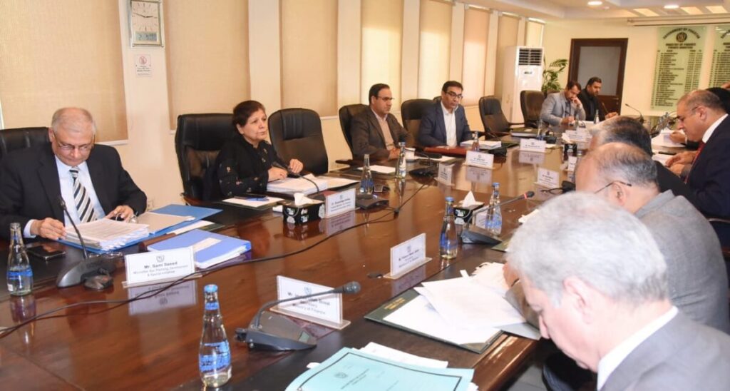 ECC approves Rs 10 b grant for Ministry of IT & Telecommunication