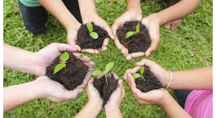 Tree plantation drive in full-swing in all KP economic zones